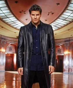 David Boreanaz